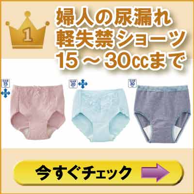 ６０代７０代８０代９０代　シニアファッションＧ＆Ｂ　高齢者　婦人の尿漏れ軽失禁安心快適ショーツ１５～３０㏄まで　売れ筋ランキング１位　